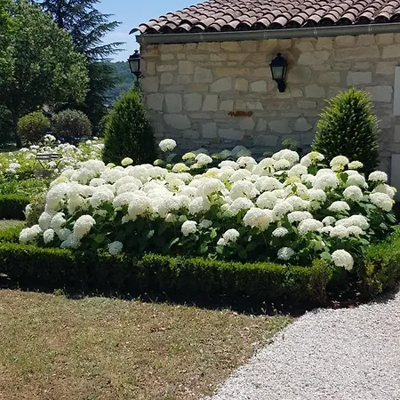 Les Nefliers D'hotes