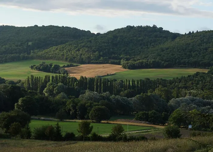 Couette-café Les Néfliers D'hôtes 4*