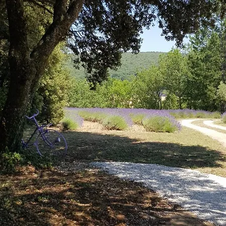 Les Néfliers D'hôtes 4*