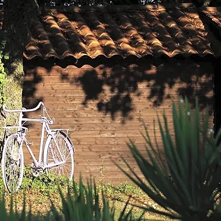 Bed & Breakfast Les Nefliers D'hotes