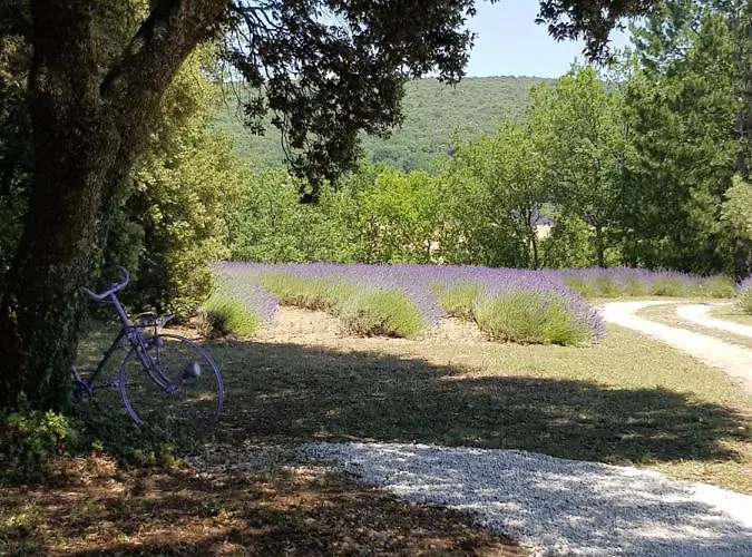 Les Nefliers D'hotes 4*