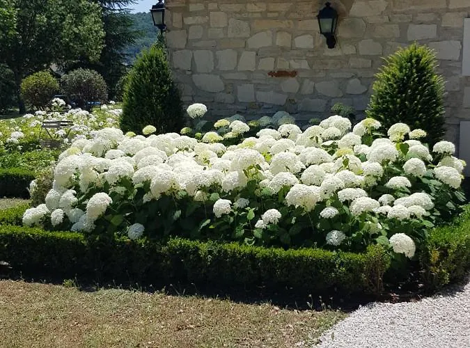 Les Nefliers D'hotes