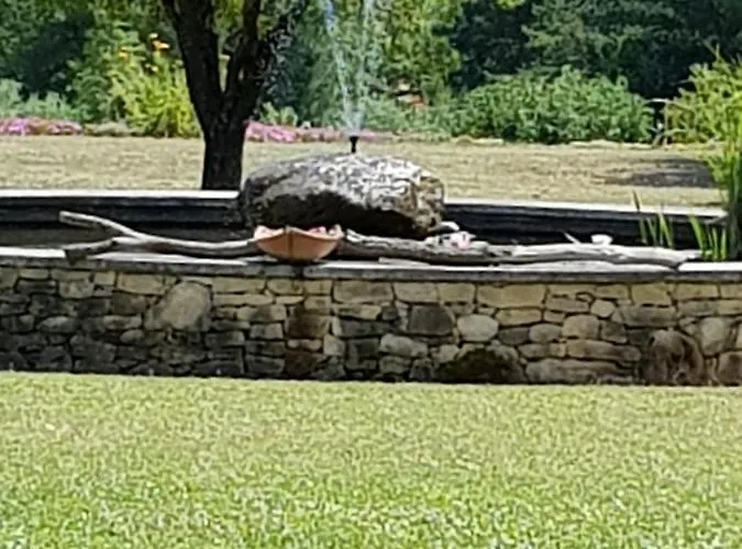 Les Nefliers D'hotes Отель типа 